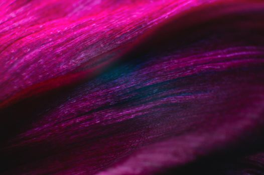 Floral background as a design element. Background of folds of delicate petals of red-violet color. Extreme macro and intimate curves.