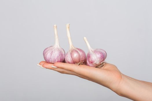 Closeup of female hands holding fresh whole garlic, spices and ripe vegetables on arm, flavory spicy ingredients for cooking, healthy eating, seasoning. indoor studio shot isolated on grey background
