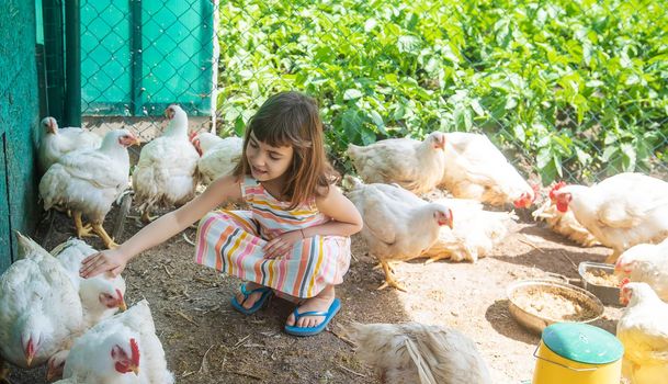 A child on a farm with a chicken. Selective focus.
