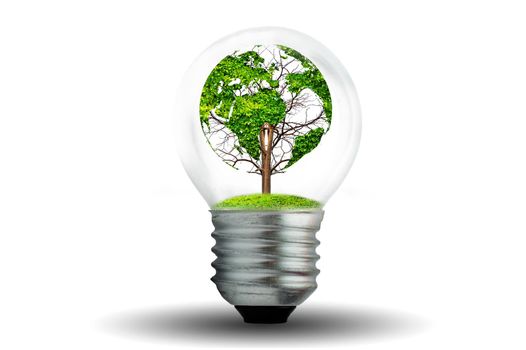 world shaped tree in light bulb concept of environmental conservation and protecting nature
