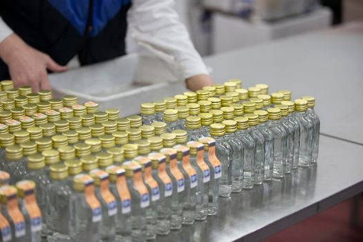 A row of glass bottles on a conveyor belt for the production of alcoholic beverages.