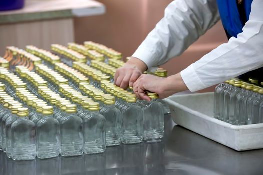 A row of glass bottles on a conveyor belt for the production of alcoholic beverages.