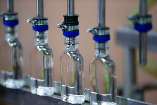 A row of glass bottles on a conveyor belt for the production of alcoholic beverages.