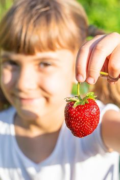 A child with strawberries in the hands. Selective focus. food.