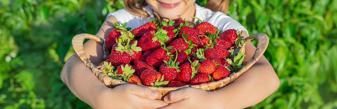 A child with strawberries in the hands. Selective focus. food.