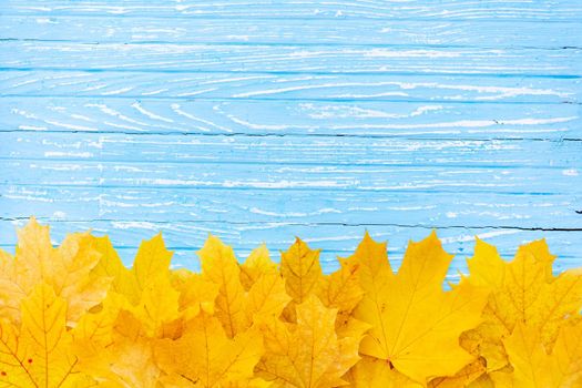 Autumn leaves frame on one down side wooden blue background top view Fall Border yellow and Orange Leaves vintage wood table Copy space. Mock up for your design. Display for product or text