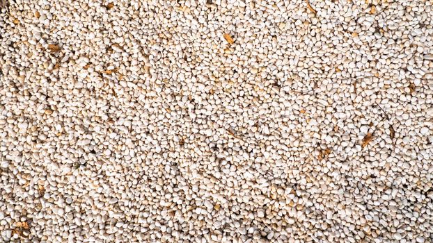 Rocks Pebbles Stone. Pebbles, rocks, and stones as natural decoration in the garden. Zen concept idea