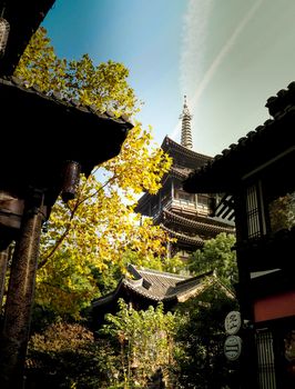Traditional temple Shrine architecture in Osaka with autumn leaves in Japan China Fall Leaves.