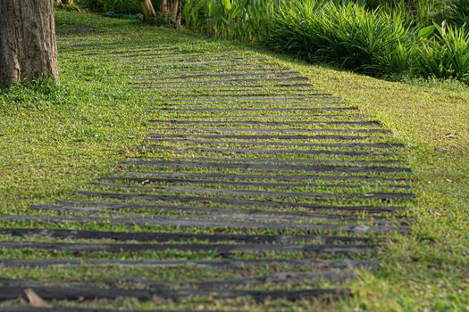 Curved Paver Path decoration landscape design, Walkway Through Grass field garden Walkway and Path.