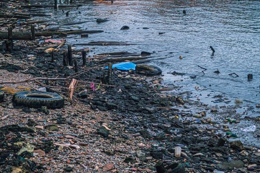 Ocean plastic a planetary crisis. Garbage on beach coat is global warming problem climate change effect animals life style.