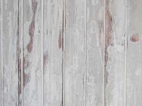 White Wood Backdrop Rustic Old Weathered Peeled Vintage Retro White Painted Grey Wooden Planks Wall