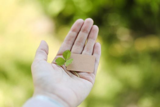 Hand holding blank paper card isolated on nature background. Summer, Ecology concept. Copy space, mock up.