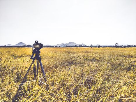 Camera and tripod stand on the grass. Nature photography. lifestyle concept idea background