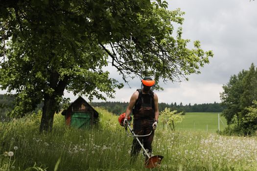 Worker man mowing tall grass with petrol lawn trimmer in the garden or backyard. Process of lawn trimming