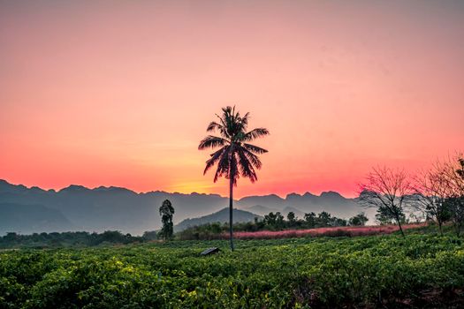 Silhouette Palm  Coconut tree with Mountains on background  horizon hills in Kanchanaburi Thailand at sunet