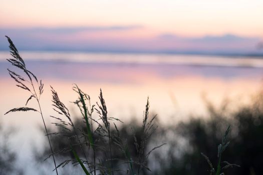 long exposure vanilla colorful sky and  lake reflection with mountains in the background. wild grass blowing in the wind on foreground