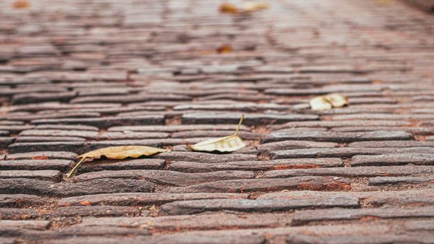 selective focused Cobblestone pavement.Vintage stone street road pavement texture. Pattern of stone block paving.Granite cobble stoned pavement background. old cobblestone pavement