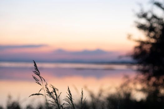 long exposure vanilla colorful sky and  lake reflection with mountains in the background. wild grass blowing in the wind on foreground