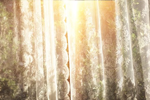 white curtain decoration interior with window view tree garden background