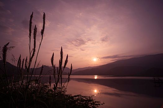 Wild-grass flower with scene of Lake Mountain Sunset.  Landscape at dusk .beautiful sky at sunset in autumn. Perfect mountains at sunrise and sunset time. Beautiful scenery