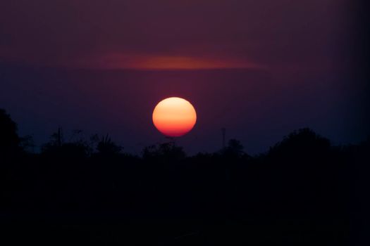 Silhouette of a tree landscape against a sunset sky Dawn sunset