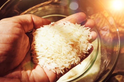 Female Hand Holding Rice Grain. Food ingredient material for cooking.
