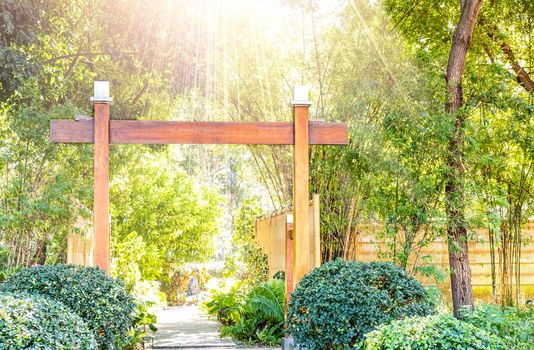 Wooden Japanese gate (torii) at green forest environment abstract season background.