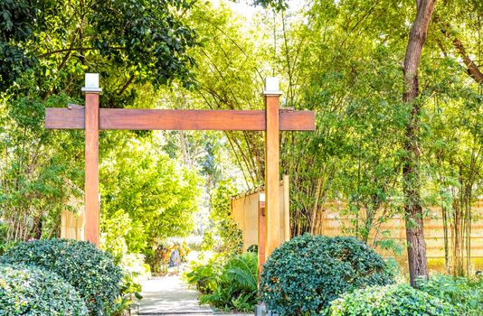 Wooden Japanese gate (torii) at green forest environment abstract season background.