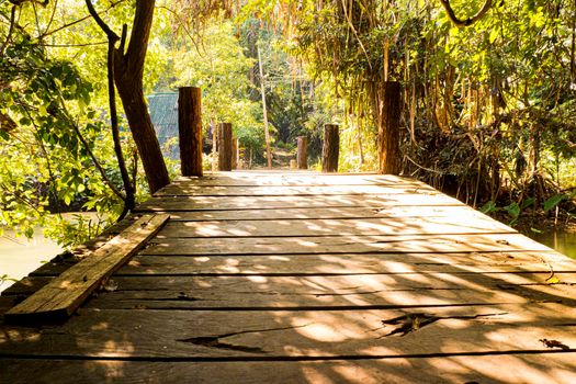 Morning Sunlight through trees Wooden bridge in tropical rain forest