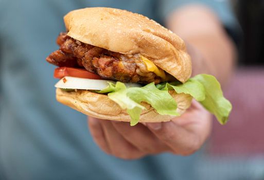 Hand hold Best Fast Food Fried Chicken Sandwiches Burgers with vegetable ingredient tomato onion Lettuce.