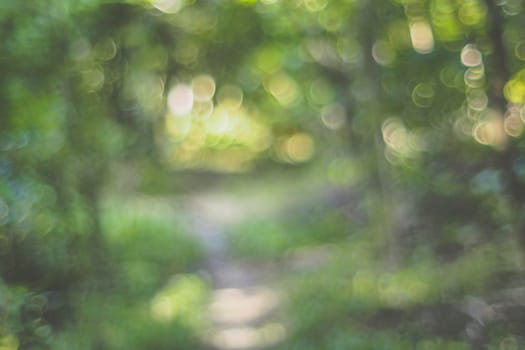 Defocus tunnel of Nature green leaves on blurred greenery tree background and sunlight bokeh