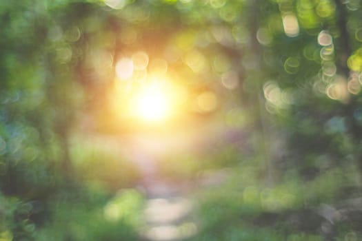 Defocus tunnel of Nature green leaves on blurred greenery tree background and sunlight bokeh