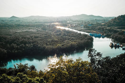 Aerial top view forest, Texture of  mangrove forest view from above nature mountain background