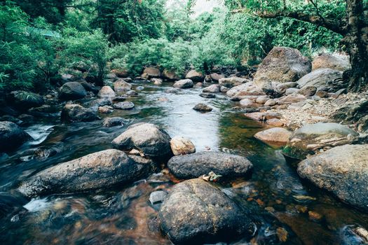 Jungle landscape with amazing stream at deep tropical rain forest. travel landscape and destinations Thailand South east asia