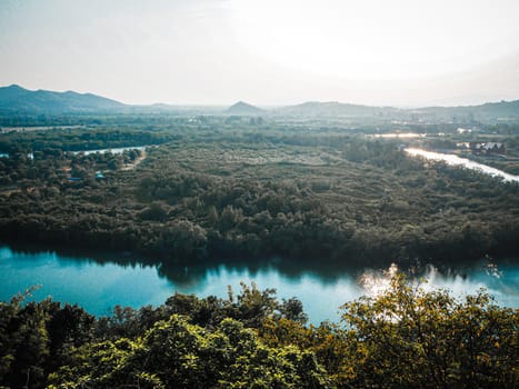 Aerial top view forest, Texture of  mangrove forest view from above nature mountain background
