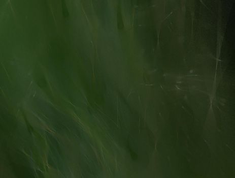 Imaginatory lush fractal texture image abstract background