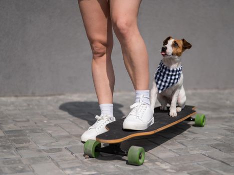 Caucasian woman riding a longboard along with dog jack russell terrier