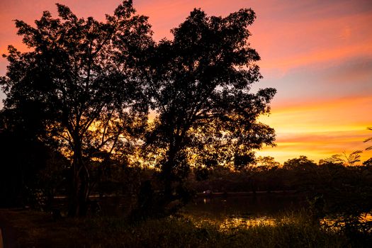 Dramatic silhouette trees with Twilight landscape colorful sky on background