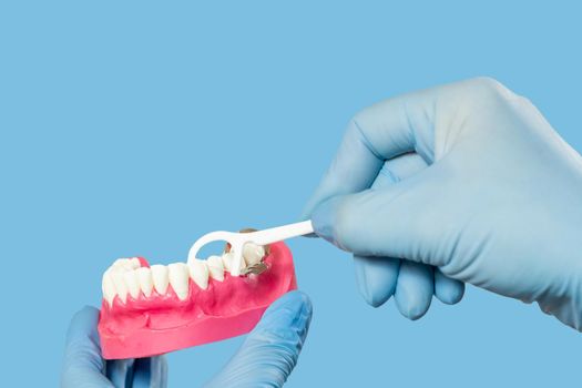 Close-up view of dentist's hands with a human jaw layout and a floss toothpick on blue.