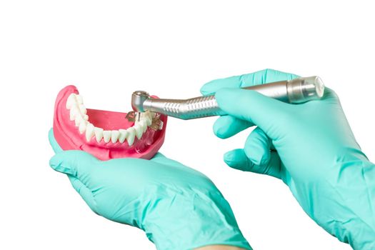 Head of high-speed dental handpiece with bur and a layout of the human jaw in dentist's hands on the white isolated background. Dental instruments for dental treatment. Close-up view.