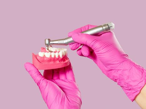 Head of high-speed dental handpiece with bur and a layout of the human jaw in dentist's hands on pink. Dental instruments for dental treatment. Close-up view.