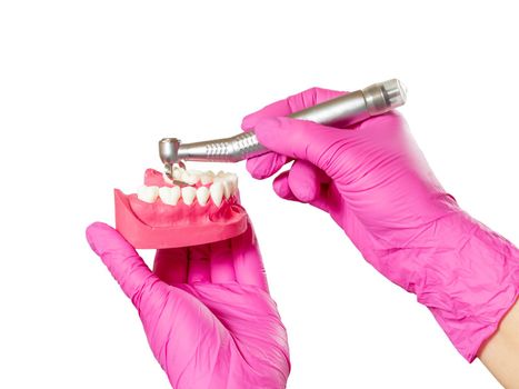 Head of high-speed dental handpiece with bur and a layout of the human jaw in dentist's hands on the white isolated background. Dental instruments for dental treatment. Close-up view.