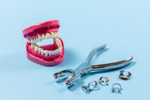 Layout of the human jaw with a dental hole punch and clamps on the blue background. Medical tools concept.