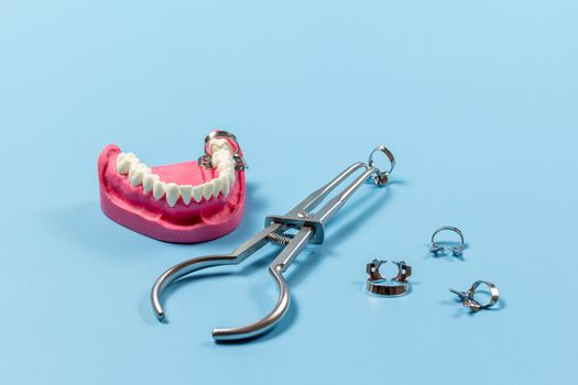 Layout of the human jaw with a rubber dam forceps and clamps on the blue background. Medical tools concept.