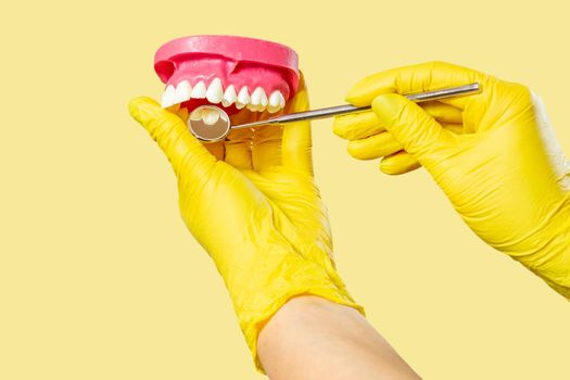 Dentist with a layout of the human jaw is examining teeth with mirror on yellow. Focus on stainless steel dental mirror.