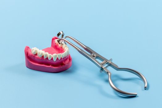 Layout of the human jaw with a rubber dam clamp forceps and a clamp on the blue background. Medical tools concept.