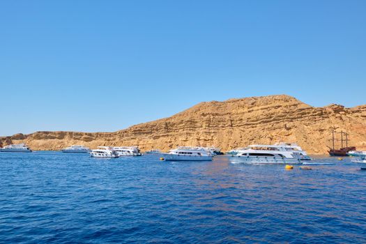 There are many beautiful yachts along the coast near the island.