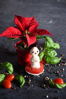 creative snowman canapes of mozzarella and tomatoes on a background of red poinsettia and a scattering of black pepper and green basil. High quality photo