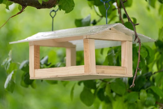 Wooden bird feeder hanging on a tree branch in summer