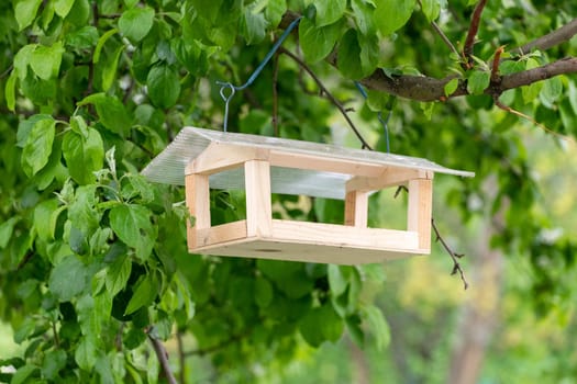 Wooden bird feeder hanging on a tree branch in summer